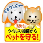 ���i�摜�F�V�[��